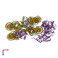 PDB entry 6ne3 coloured by chain, top view.
