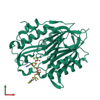 PDB entry 6nf0 coloured by chain, front view.