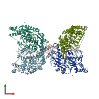 3D model of 6nh6 from PDBe