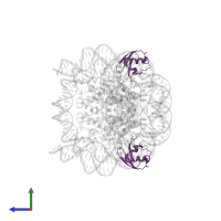 Ubiquitin in PDB entry 6nj9, assembly 1, side view.