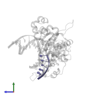 DNA (5'-D(P*TP*TP*CP*GP*G)-3') in PDB entry 6nku, assembly 1, side view.