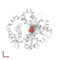 Modified residue 2DT in PDB entry 6nkv, assembly 1, front view.