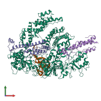 PDB entry 6nmc coloured by chain, front view.