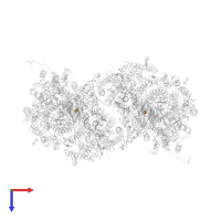 COPPER (II) ION in PDB entry 6nmf, assembly 1, top view.