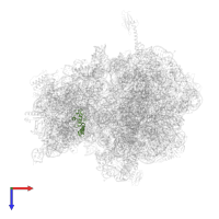 Small ribosomal subunit protein uS13 in PDB entry 6nta, assembly 1, top view.