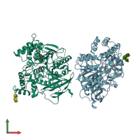 PDB entry 6ntm coloured by chain, front view.