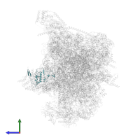 Large ribosomal subunit protein mL66 in PDB entry 6nu2, assembly 1, side view.