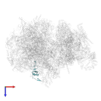 Large ribosomal subunit protein mL66 in PDB entry 6nu2, assembly 1, top view.