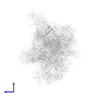 Large ribosomal subunit protein bL32m in PDB entry 6nu3, assembly 1, side view.