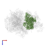 12S rRNA in PDB entry 6nu3, assembly 1, top view.