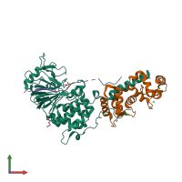 PDB entry 6nuu coloured by chain, front view.