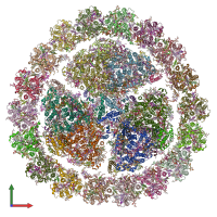 PDB entry 6nwa coloured by chain, front view.