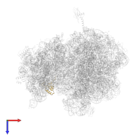 Small ribosomal subunit protein uS19 in PDB entry 6nwy, assembly 1, top view.