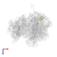 Large ribosomal subunit protein uL23 in PDB entry 6nwy, assembly 1, top view.