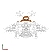 LYR motif-containing protein 4 in PDB entry 6nzu, assembly 1, front view.