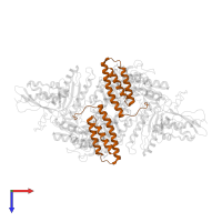 LYR motif-containing protein 4 in PDB entry 6nzu, assembly 1, top view.