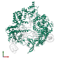 CRISPR-associated endonuclease Cas9/Csn1 in PDB entry 6o0z, assembly 1, front view.