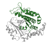 The deposited structure of PDB entry 6o2s contains 52 copies of Pfam domain PF00091 (Tubulin/FtsZ family, GTPase domain) in Tubulin beta chain. Showing 1 copy in chain VC [auth 4V].