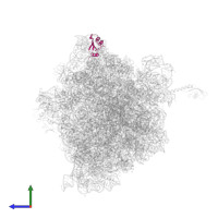 Large ribosomal subunit protein uL18 in PDB entry 6o3m, assembly 1, side view.