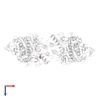 NITRATE ION in PDB entry 6o4x, assembly 1, top view.