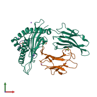 PDB entry 6o4z coloured by chain, front view.