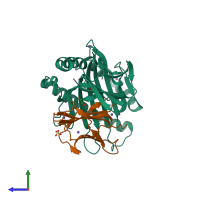 PDB entry 6o4z coloured by chain, side view.