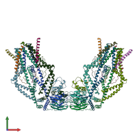 PDB entry 6o58 coloured by chain, front view.