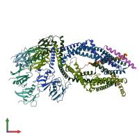 PDB entry 6o5b coloured by chain, front view.