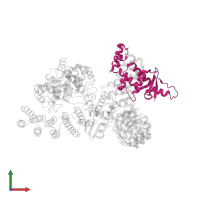 S-phase kinase-associated protein 1 in PDB entry 6o60, assembly 1, front view.