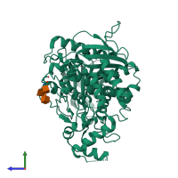 PDB entry 6o69 coloured by chain, side view.
