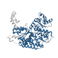 The deposited structure of PDB entry 6o7q contains 2 copies of Pfam domain PF00148 (Nitrogenase component 1 type Oxidoreductase) in Nitrogenase molybdenum-iron protein beta chain. Showing 1 copy in chain B.