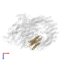 V-type proton ATPase subunit c' in PDB entry 6o7t, assembly 1, top view.