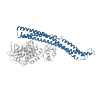 The deposited structure of PDB entry 6o8b contains 2 copies of CATH domain 1.20.1270.420 (Substrate Binding Domain Of Dnak; Chain:A; Domain 2) in Serine/threonine-protein kinase TBK1. Showing 1 copy in chain D [auth B].