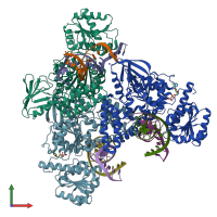 PDB entry 6o8g coloured by chain, front view.