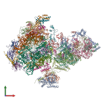 PDB entry 6o9l coloured by chain, front view.