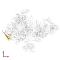 DNA-directed RNA polymerase II subunit RPB11-a in PDB entry 6o9l, assembly 1, front view.