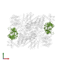 Translation initiation factor eIF-2B subunit gamma in PDB entry 6o9z, assembly 1, front view.