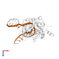 DNA (5'-D(*CP*CP*AP*GP*AP*CP*GP*TP*T)-3') in PDB entry 6oeb, assembly 1, top view.
