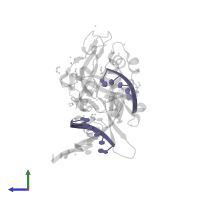 DNA (5'-D(*GP*TP*CP*TP*GP*G)-3') in PDB entry 6oeb, assembly 1, side view.