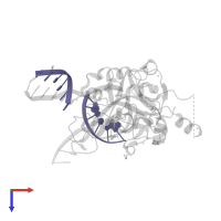 DNA (5'-D(*GP*TP*CP*TP*GP*G)-3') in PDB entry 6oeb, assembly 1, top view.