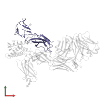 Cytokine receptor common subunit gamma in PDB entry 6oel, assembly 1, front view.