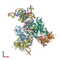 PDB entry 6oem coloured by chain, front view.