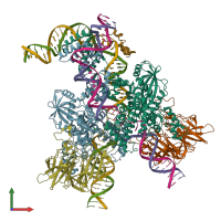 PDB entry 6oer coloured by chain, front view.