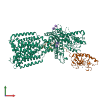 PDB entry 6oev coloured by chain, front view.