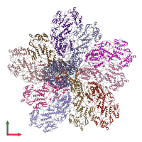PDB entry 6ogz coloured by chain, front view.