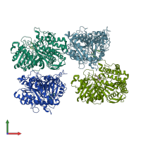 PDB entry 6ohs coloured by chain, front view.