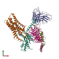 PDB entry 6oij coloured by chain, front view.