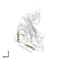 Guanine nucleotide-binding protein G(I)/G(S)/G(O) subunit gamma-2 in PDB entry 6oij, assembly 1, side view.