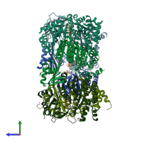 PDB entry 6ok2 coloured by chain, side view.