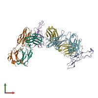 PDB entry 6okn coloured by chain, front view.